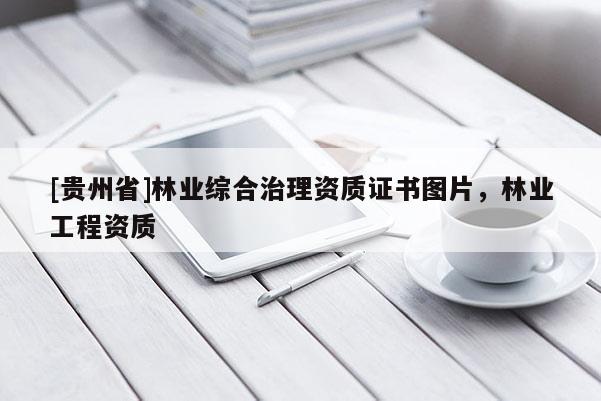 [貴州省]林業(yè)綜合治理資質(zhì)證書圖片，林業(yè)工程資質(zhì)