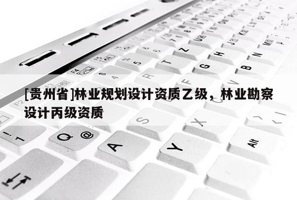 [貴州省]林業(yè)規(guī)劃設計資質(zhì)乙級，林業(yè)勘察設計丙級資質(zhì)