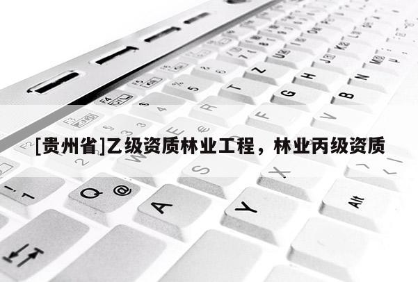 [貴州省]乙級資質林業工程，林業丙級資質