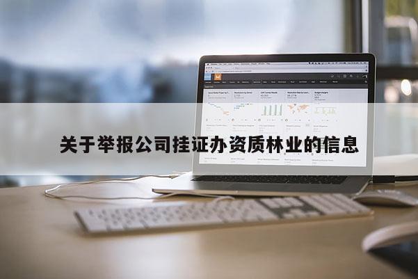 關(guān)于舉報(bào)公司掛證辦資質(zhì)林業(yè)的信息