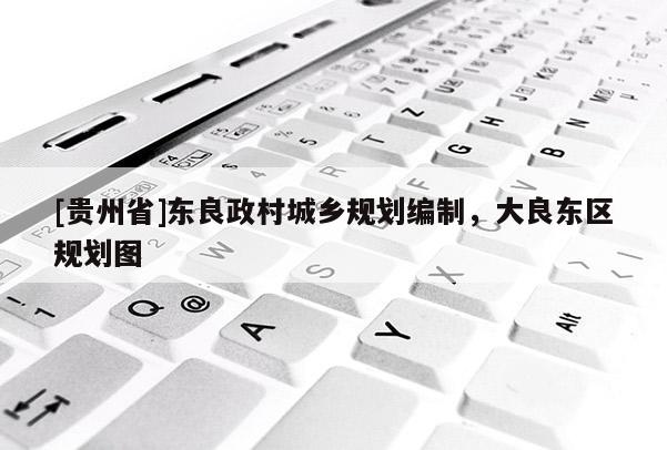 [貴州省]東良政村城鄉規劃編制，大良東區規劃圖