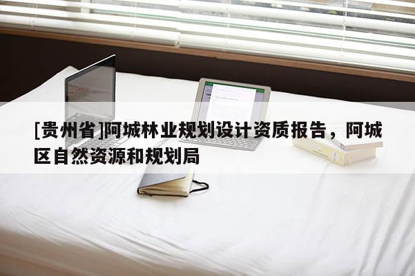 [貴州省]阿城林業規劃設計資質報告，阿城區自然資源和規劃局