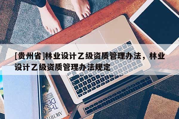 [貴州省]林業設計乙級資質管理辦法，林業設計乙級資質管理辦法規定