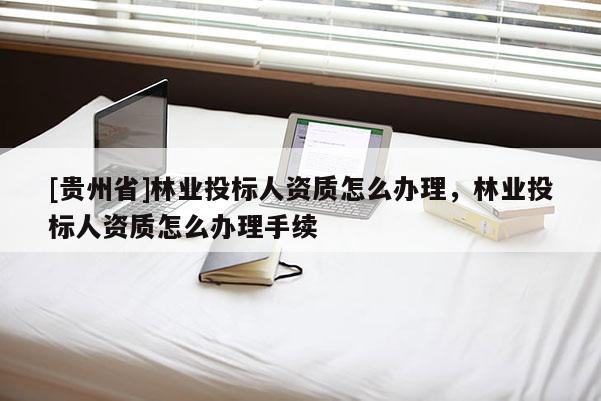 [貴州省]林業投標人資質怎么辦理，林業投標人資質怎么辦理手續