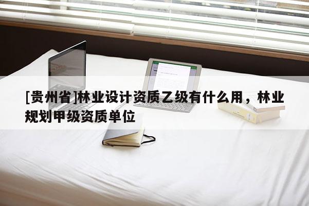 [貴州省]林業設計資質乙級有什么用，林業規劃甲級資質單位