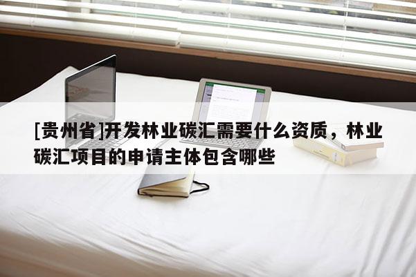 [貴州省]開發林業碳匯需要什么資質，林業碳匯項目的申請主體包含哪些