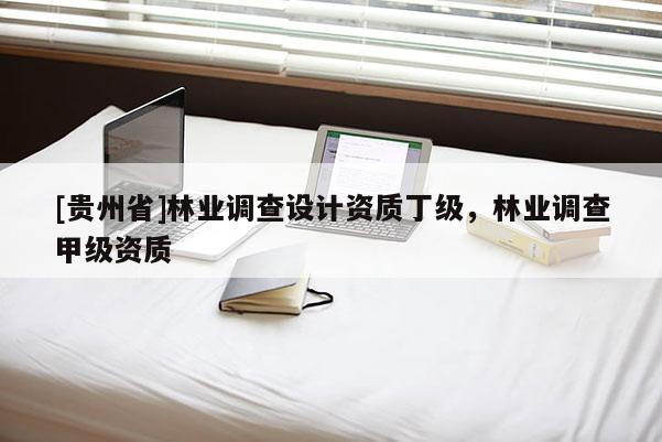 [貴州省]林業調查設計資質丁級，林業調查甲級資質