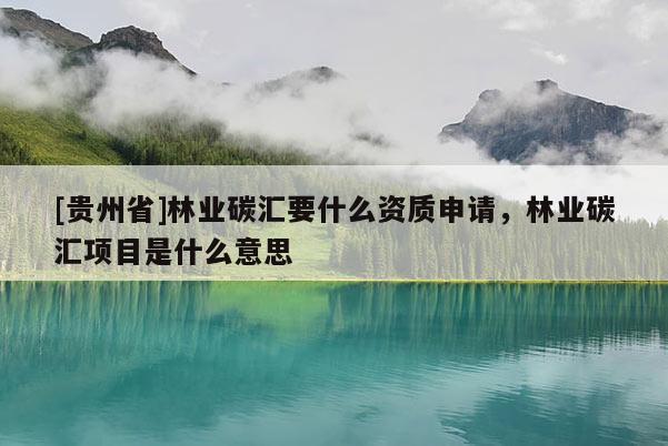 [貴州省]林業碳匯要什么資質申請，林業碳匯項目是什么意思