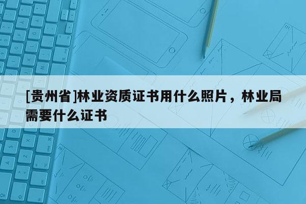 [貴州省]林業資質證書用什么照片，林業局需要什么證書