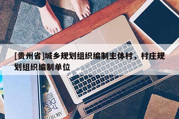 [貴州省]城鄉規劃組織編制主體村，村莊規劃組織編制單位