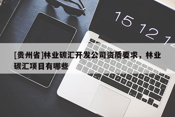 [貴州省]林業(yè)碳匯開(kāi)發(fā)公司資質(zhì)要求，林業(yè)碳匯項(xiàng)目有哪些