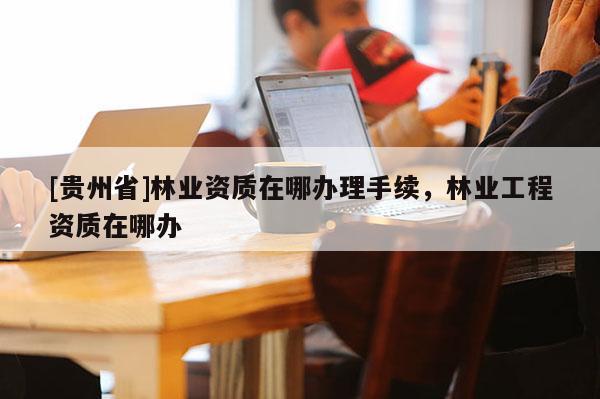 [貴州省]林業資質在哪辦理手續，林業工程資質在哪辦