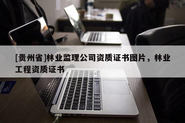 [貴州省]林業監理公司資質證書圖片，林業工程資質證書
