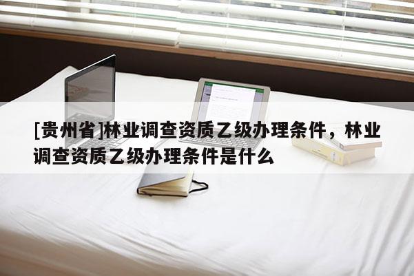 [貴州省]林業(yè)調(diào)查資質(zhì)乙級辦理條件，林業(yè)調(diào)查資質(zhì)乙級辦理條件是什么
