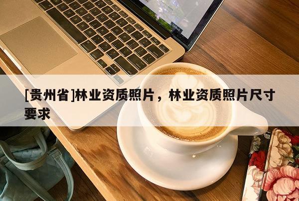 [貴州省]林業資質照片，林業資質照片尺寸要求