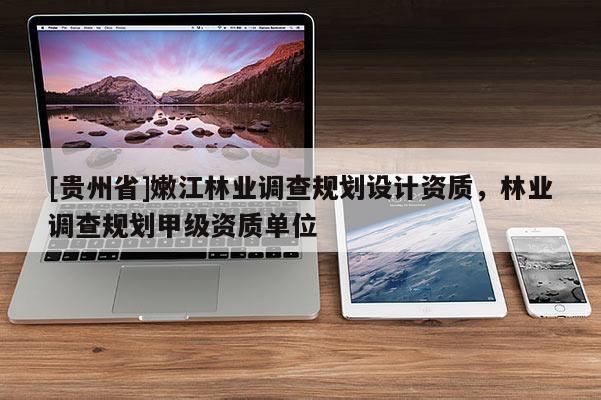 [貴州省]嫩江林業調查規劃設計資質，林業調查規劃甲級資質單位