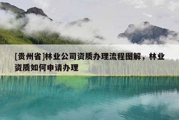 [貴州省]林業公司資質辦理流程圖解，林業資質如何申請辦理