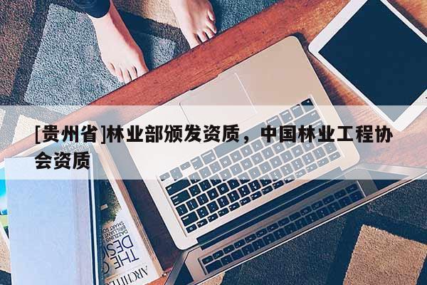 [貴州省]林業部頒發資質，中國林業工程協會資質