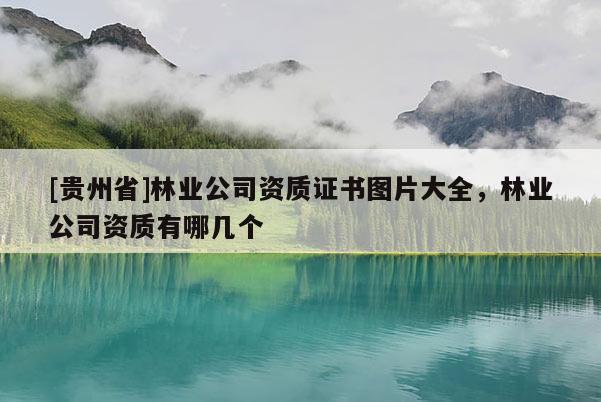 [貴州省]林業公司資質證書圖片大全，林業公司資質有哪幾個
