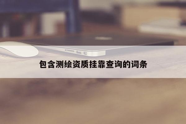 包含測(cè)繪資質(zhì)掛靠查詢(xún)的詞條