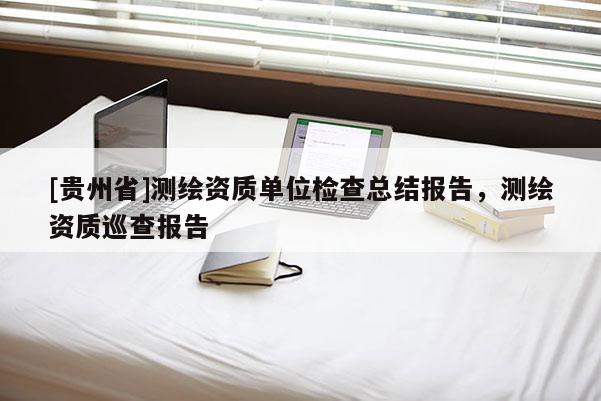 [貴州省]測繪資質單位檢查總結報告，測繪資質巡查報告