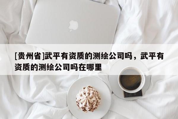 [貴州省]武平有資質的測繪公司嗎，武平有資質的測繪公司嗎在哪里