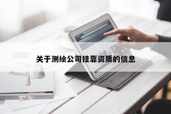 關于測繪公司掛靠資質的信息