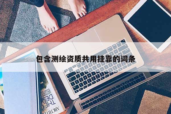 包含測繪資質共用掛靠的詞條