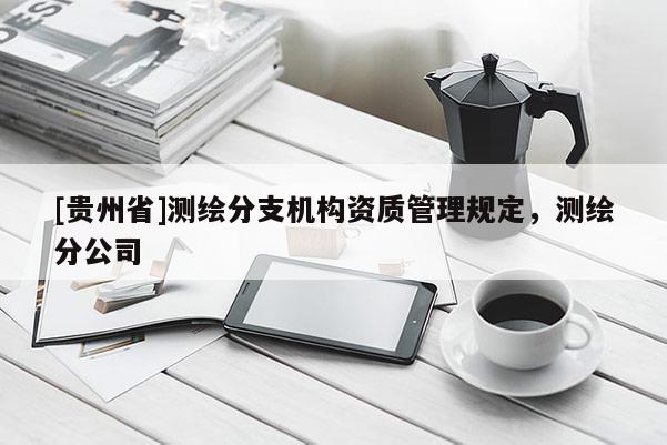 [貴州省]測繪分支機構資質管理規定，測繪分公司