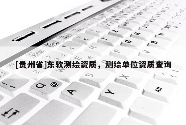 [貴州省]東軟測繪資質，測繪單位資質查詢