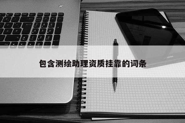 包含測(cè)繪助理資質(zhì)掛靠的詞條