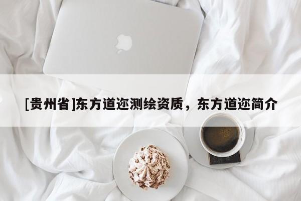 [貴州省]東方道邇測繪資質(zhì)，東方道邇簡介