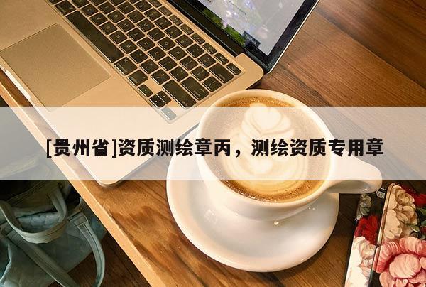[貴州省]資質測繪章丙，測繪資質專用章