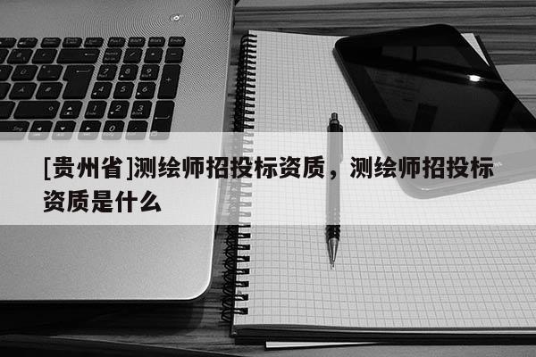 [貴州省]測繪師招投標資質，測繪師招投標資質是什么