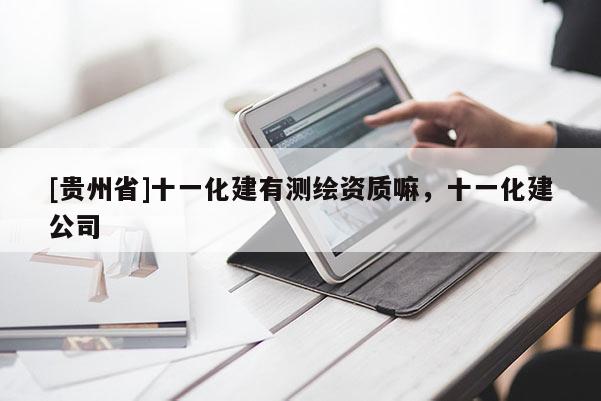 [貴州省]十一化建有測繪資質嘛，十一化建公司