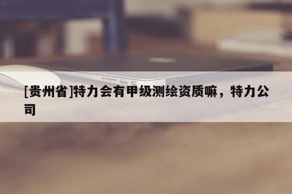 [貴州省]特力會有甲級測繪資質(zhì)嘛，特力公司