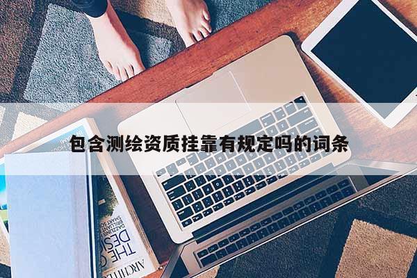 包含測繪資質(zhì)掛靠有規(guī)定嗎的詞條