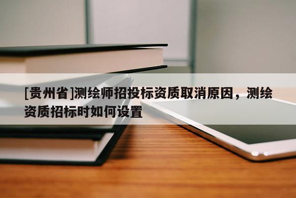 [貴州省]測繪師招投標資質取消原因，測繪資質招標時如何設置